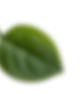 Achtergrond afbeelding