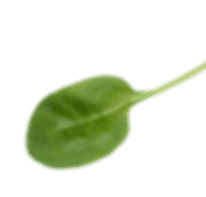 Achtergrond afbeelding
