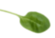 Achtergrond afbeelding