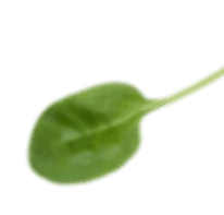 Achtergrond afbeelding