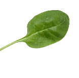 Achtergrond afbeelding