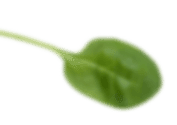 Achtergrond afbeelding